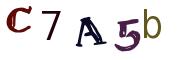 Image CAPTCHA
