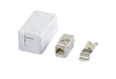 Boîte de raccordement APZ 1 Port C6Amodul Keystone